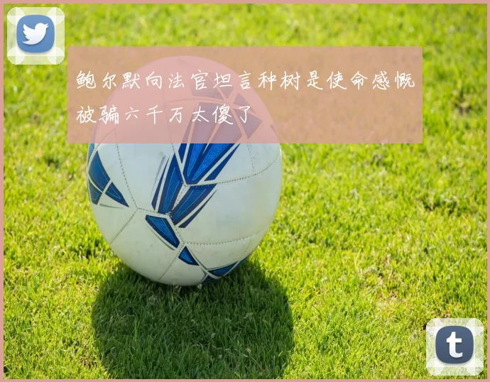 鲍尔默向法官坦言种树是使命感慨被骗六千万太傻了