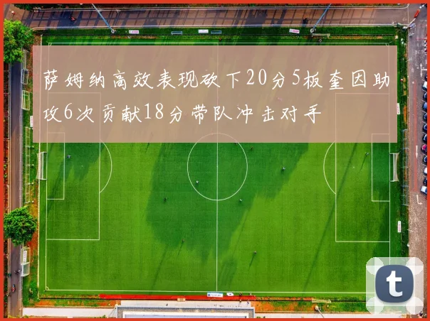 萨姆纳高效表现砍下20分5板奎因助攻6次贡献18分带队冲击对手
