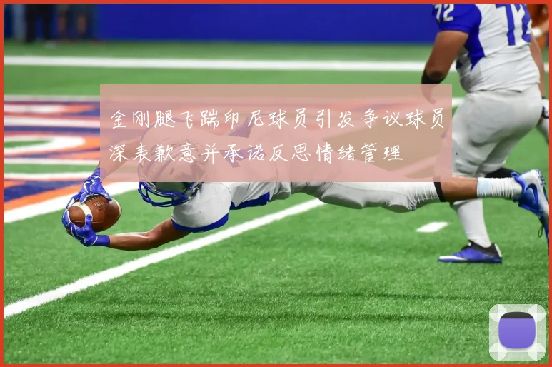 金刚腿飞踹印尼球员引发争议球员深表歉意并承诺反思情绪管理